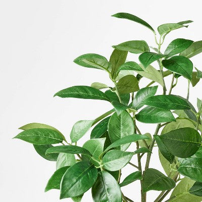 Green Leaf Mini Artificial Tree - Threshold designed with Studio McGee (LOCAL PICKUP ONLY)