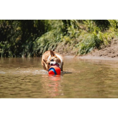 Chuckit! Kick Fetch Dog Ball Toy