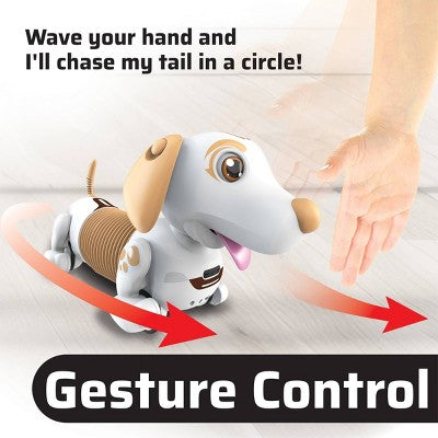 ROBO DASH D Interactive Robotic Puppy with Gesture Control, Ball Remote, Barking and Walking Tricks