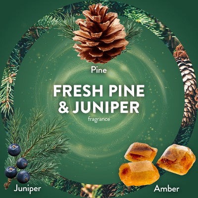 Air Wick Scented Oil Refills Mixed Pack Air Fresheners Warm Spiced Apple, Pumpkin Spice, Fresh Pine & Juniper, Cranberry - 4ct