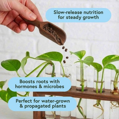 WE THE WILD Hydro Pellet Organic Plant Food For Propagation & Watergrown Houseplants