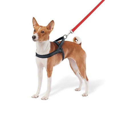No Pull Comfort Dog Harness - S - Boots & Barkley