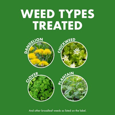 32 fl oz Ready-to-Spray Weed & Feed - Spectracide