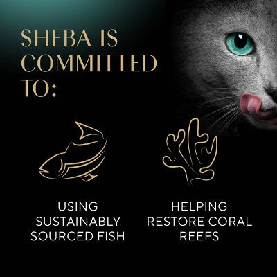 Sheba Perfect Portions White Fish and Tuna Flavor Pate Wet Cat Food - 2.64oz