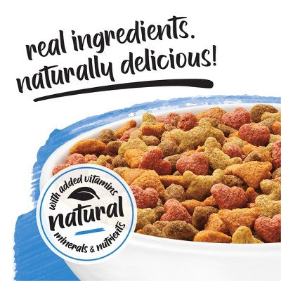 Purina Beneful Healthy Puppy Real Chicken Flavor Dry Dog Food - 3.5lbs