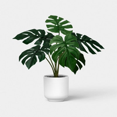 13" Monstera Plant - Room Essentials (LOCAL PICKUP ONLY)