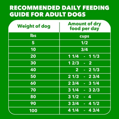 IAMS Proactive Health Minichunks Chicken and Whole Grains Recipe Adult Dry Dog Food - 5lbs