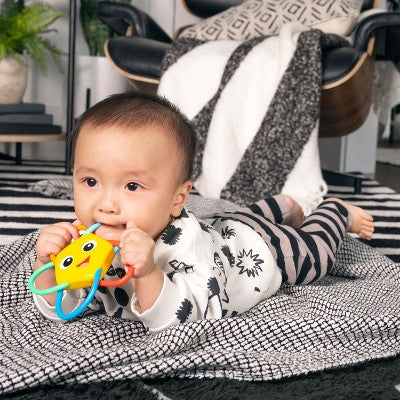 Baby Einstein Ocean Explorers Soothing Star Teether & Rattle Toy - 0-36 Months: BPA-Free, Fine Motor Skills, Easy To Grip