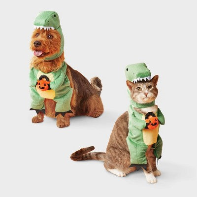 Dino with Pumpkin T-Rex Pail Dog and Cat Frontal Costume - Boots & Barkley Light Green XS
