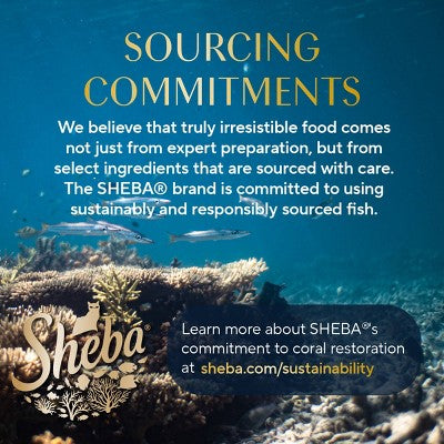 Sheba Selections Filets in Broth Complements Chicken and Tuna Flavor Wet Cat Food - 1.3oz