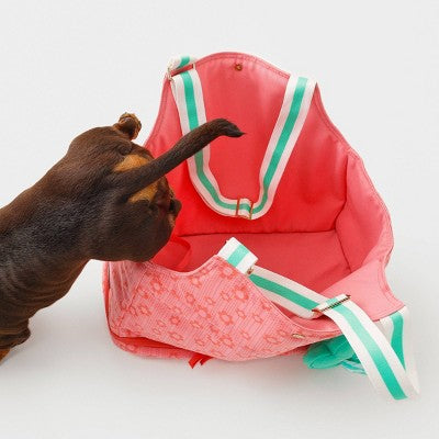Hooray House Pet Carrier Travel Bag