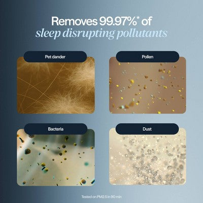 Blueair Mini Restful Air purifier and Sunrise Alarm Clock Midnight Blue