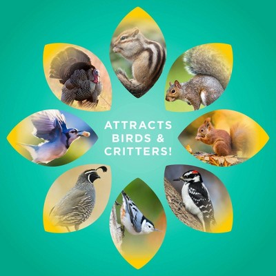 Audubon Park 5lbs Critter Crunch Wild Bird Food