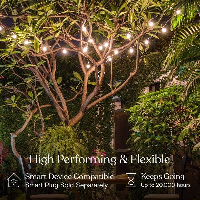 Brightech 12-Bulb LED Glow Antique Brass 1W 26ft 2700K G40 Indoor Outdoor Plug-in Orb and Globe String Lights Clear Bulb Black Wire