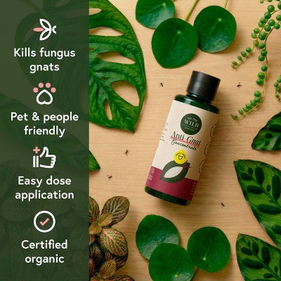 WE THE WILD Pest & Shine Kit Organic Chemical-Free Easy 3-Step Care For Houseplants