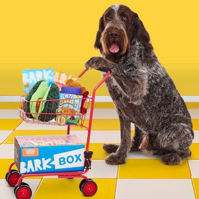BARK Beg-n-Bag Large Box Dog Plush Toy Set - 5pc