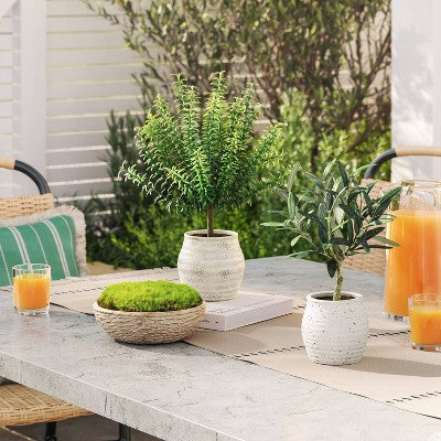 12" Olive Artificial Plant - Threshold designed with Studio McGee
