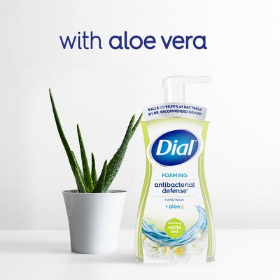 Dial Foaming Antibacterial Defense Hand Wash - White Tea - 10 fl oz