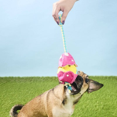 BARK Easter 2.75" Peep-a-Bird Dog Animal Rope Toy