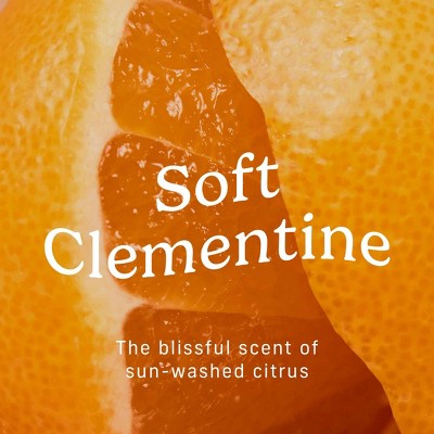 Niches & Nooks Sweat Absorbing Intimate pH Balanced Chafing Barrier Feminine Spray - Soft Clementine - 2oz