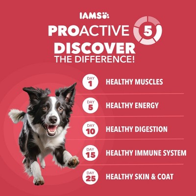 IAMS Proactive Health Minichunks Lamb and Rice Flavor Dry Dog Food - 7lbs