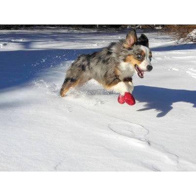 Pawz 12pc Rubber Dog Boots - Red S: Pullover Style, Textile Material, Small Size, Pet Footwear