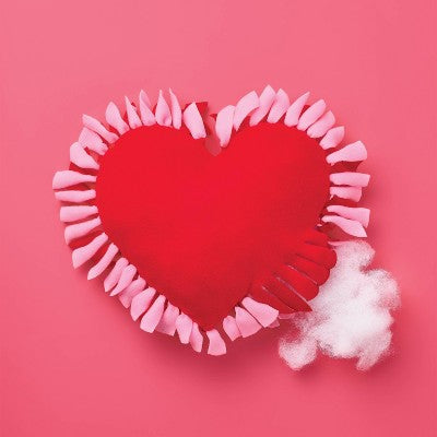 Valentine's Craft Make - Your - Own Heart Shaped Fleece Pillow Kit - Mondo Llama