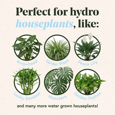 WE THE WILD Propagation Kit Organic Hydro Pellet Plant Food & Premium Glassware Vessel
