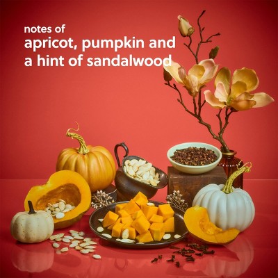 Tree Hut Serum-Infused Hand Wash - Sweet Punkin - 11 fl oz