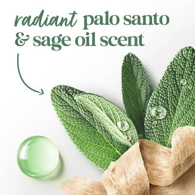 Dove Beauty Bar Soap - Palo Santo + Sage Oil - 3.75oz/4pk: Moisturizing, Nourishing, Paraben-Free, Recommended for Normal to Dry Skin