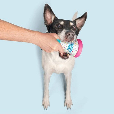 BARK Super Chewer Treat Yourself Party Hat Dog Treat Dispenser Toy