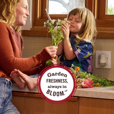 Mrs. Meyer's Clean Day Plug Scent Oil Air Freshener Refills Fresh Cut Grass - 0.67oz/2pk