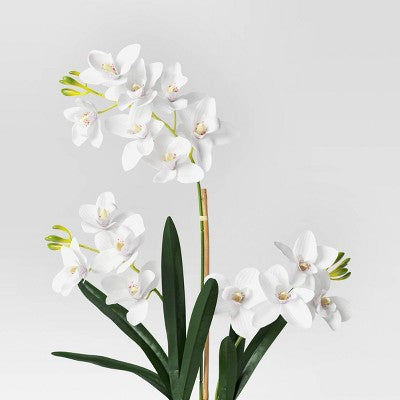 Luxe Orchid in Geometric Pot - Threshold (LOCAL PICKUP ONLY)
