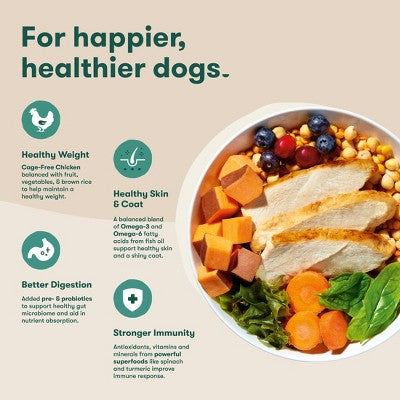 Jinx Grain-Free Dry Dog Food with Chicken, Sweet Potato & Carrot Flavor - 4lbs