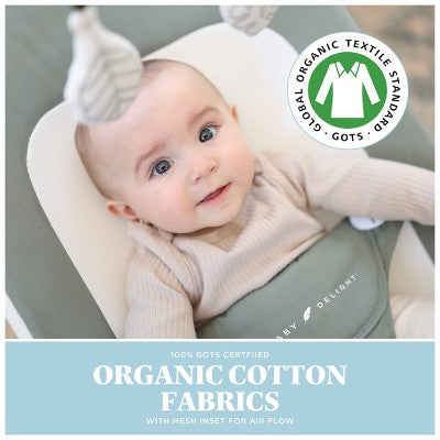 Baby Delight Highland Portable Bouncer - Organic Sage: Folds for Easy Transport, 3-Point Harness, Steel Frame