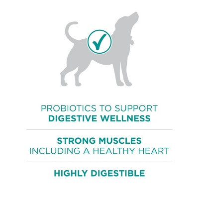 Purina ONE SmartBlend Natural Digestive & Probiotic Health Rice and Chicken Flavor Dry Dog Food - 16.5lbs (LOCAL PICKUP ONLY)