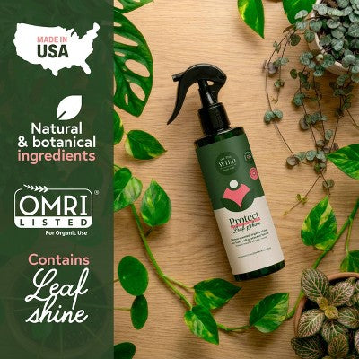 WE THE WILD Protect Spray Organic Botanical Leaf Shine & Care For Houseplants 8.5 fl oz