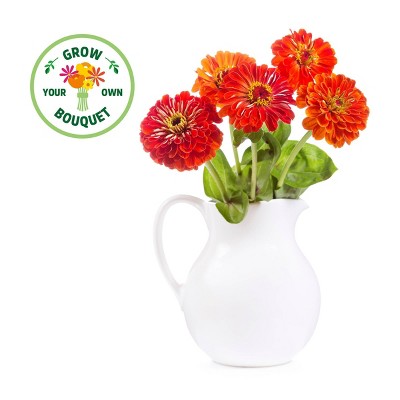 Back to the Roots Organic Zinnia Flower Grow Kit with Plantable Starting Pot Soil and Seeds