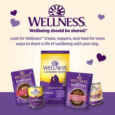 Old Mother Hubbard by Wellness Training Crunchy Dog Treat Bitz with Chicken Flavor - 8oz