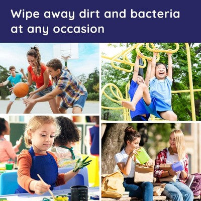 Wet Ones Limited Edition Hand Wipes - Fresh Scent - 20ct