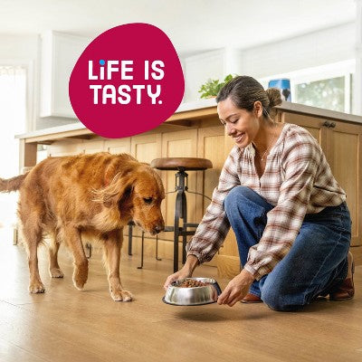 Kibbles 'n Bits Bistro Beef, Spring Vegetable & Apple Flavors Adult Complete & Balanced Dry Dog Food - 16 lbs (LOCAL PICKUP ONLY)