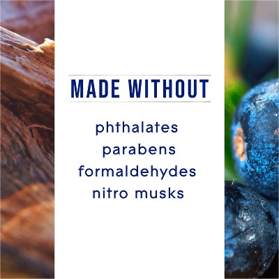 Glade Fresh Aerosol Room Air Freshener - Juniper & Teak - 8oz