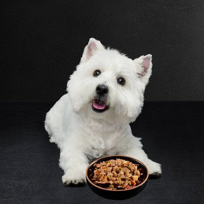 Cesar Home Delights Adult Wet Dog Food Pot Roast with Spring Vegetables and Beef Dinner in Sauce - 3.5oz