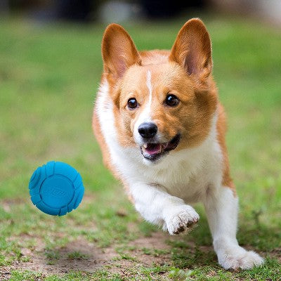 NERF Solid Foam Sonic Dog Ball Toy - 2pk