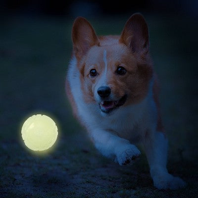 NERF Lightning Glow Solid Foam Sonic Dog Ball Toy
