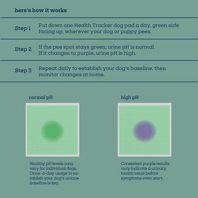 Pet Life Unlimited Health Tracker Dog Pads - 20ct: Unscented, Pet Training Pads, All Ages