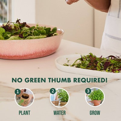 Garden Republic Micro Greens Grow Kit