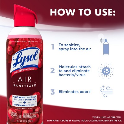 Lysol Aerosol Air Sanitizer - Berry Burst - 10oz