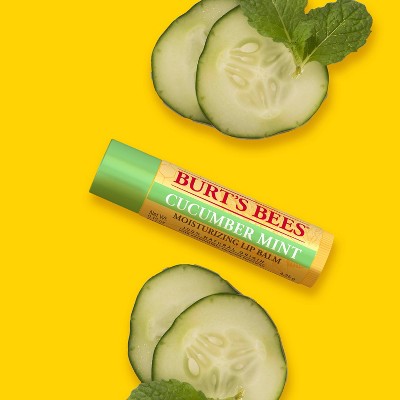 Burt's Bees Lip Balm - Cucumber Mint - 0.15oz: Moisturizing, Paraben-Free, Sulfate-Free, Formaldehyde-Free