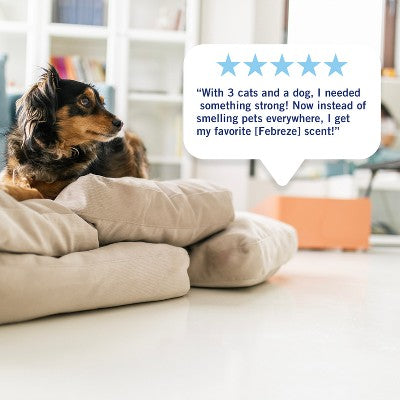 Febreze Luxe Plug Dual Refill Air Freshener - Pumpkin Roll - 1.75 fl oz/2ct